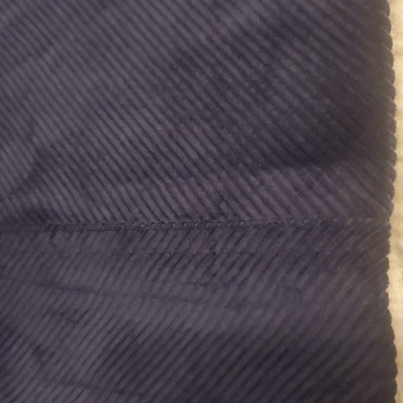 💙J.Crew Velvet Skirt - Picture 5 of 17